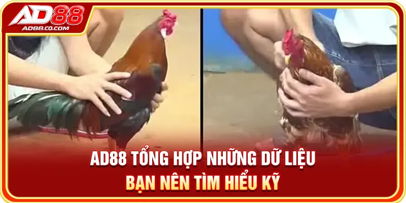 AD88 tổng hợp những dữ liệu bạn nên tìm hiểu kỹ